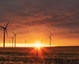 Inside a green initiative that reshaped a coastal town