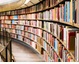 Summer reading list: field notes from a newsroom